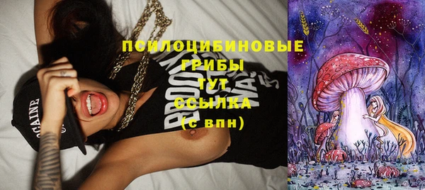 гашик Верхнеуральск