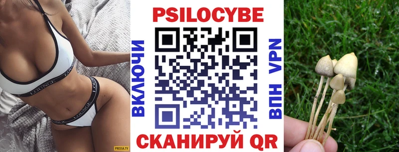 мега как зайти  Волгодонск  Псилоцибиновые грибы Cubensis 